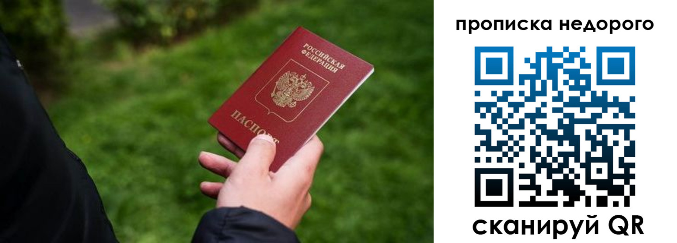 временная регистрация поиск в Сосенском